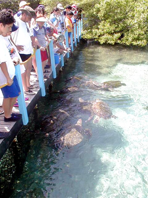 Islas del Rosario - Cartagena, Colombia